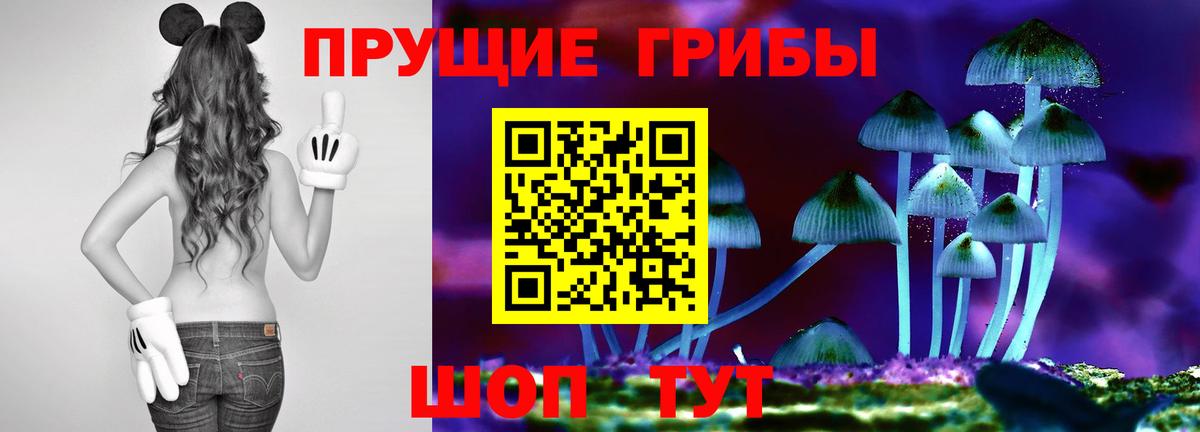 Псилоцибиновые грибы ЛСД  Вход с VPN  Липецк 